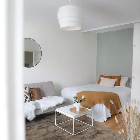 Studio-joki - Valoisa Asunto Keskustassa